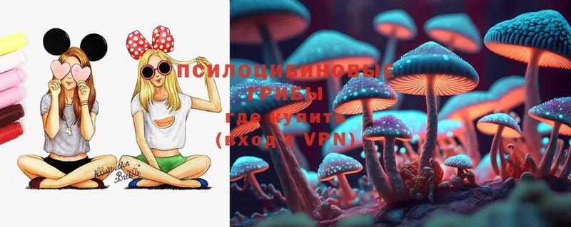 даркнет сайт  Балей  Галлюциногенные грибы MAGIC MUSHROOMS 